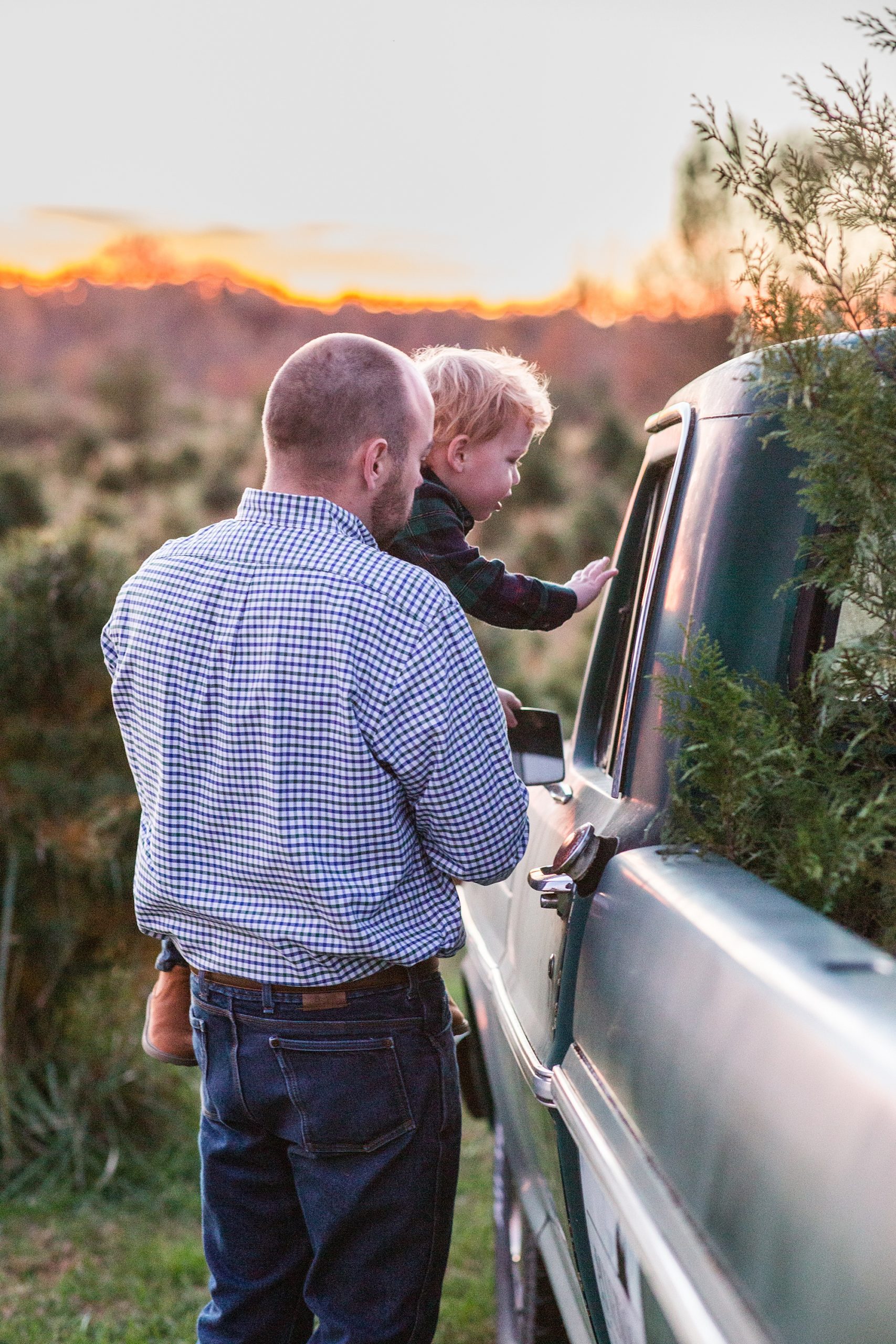 toddler looks at pickup truck during Pinewood Christmas Tree Farm family photos