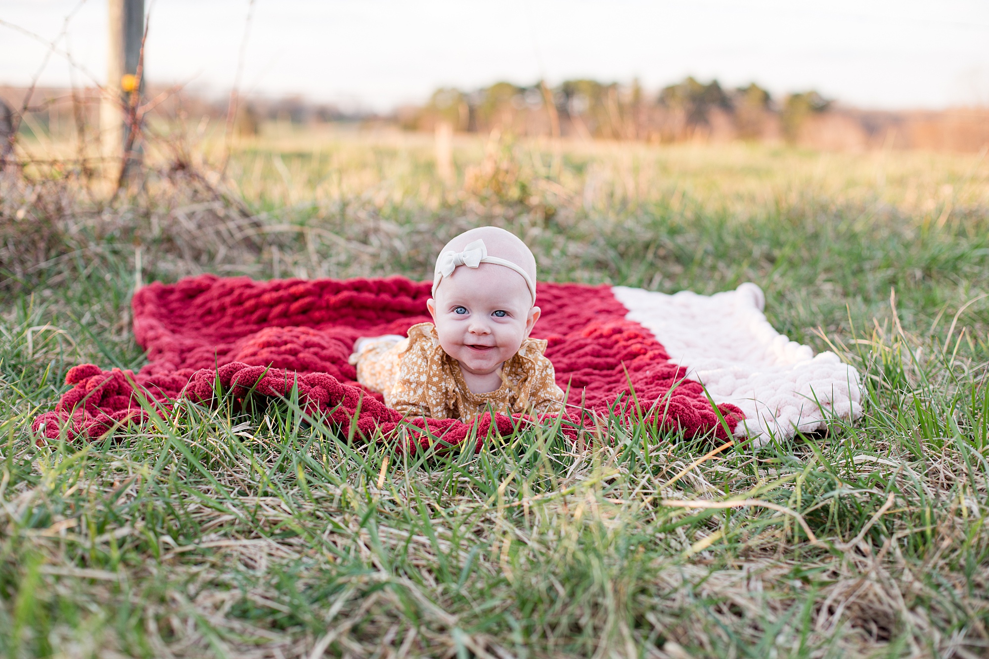 baby lays on blanket during family photos